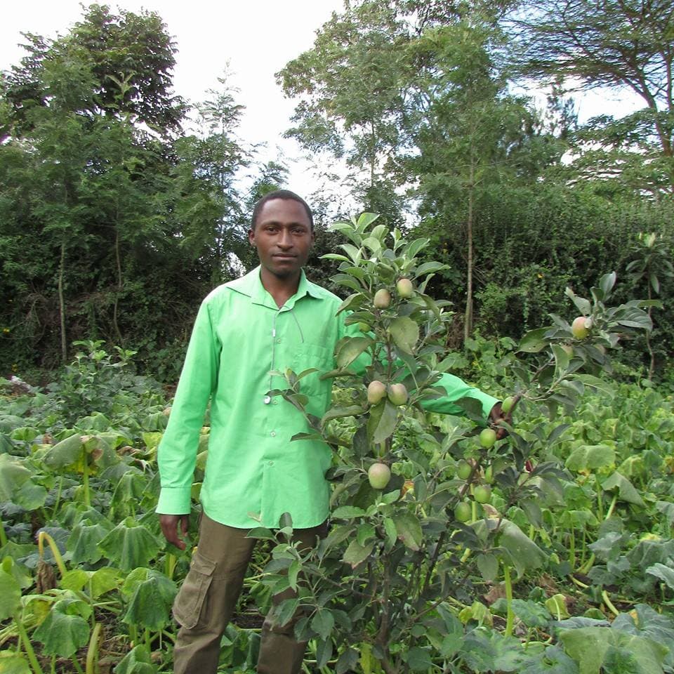 Retrenched Kenya Red Cross Society employee becomes own boss with apple farming