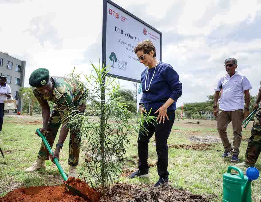 DTB Hits a Key Milestone in Building a Forest of 10 Million Trees