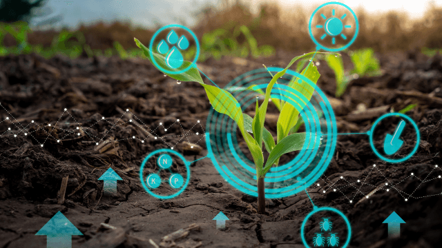 Climate Smart Agriculture: How Farmers Can Increase Food Security And Combat Climate Change