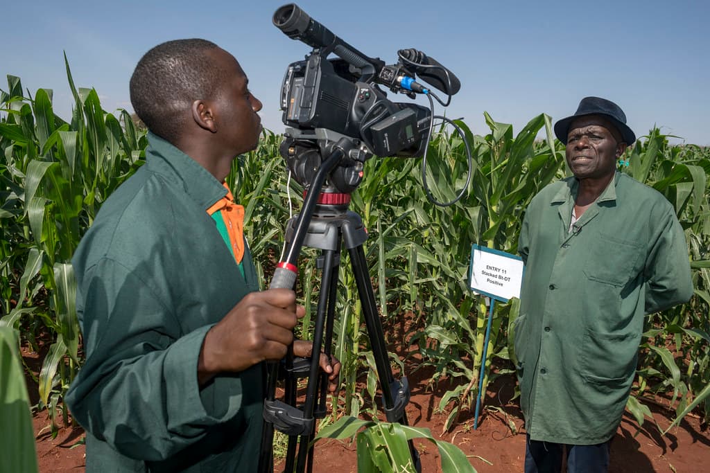The Séralini affair: Discredited study that got GMOs banned in Kenya
