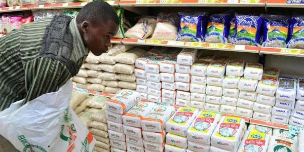 Government asks farmers to grow millet, sorghum, cassava and amaranth for blending with maize flour