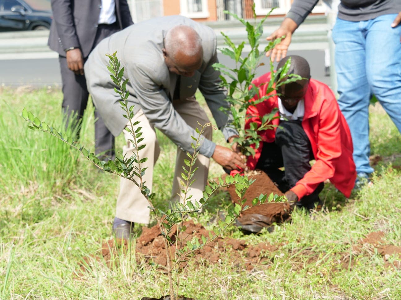 Nairobi City Marathon Pairs Air Sensors with 5,000-Tree Legacy Plan