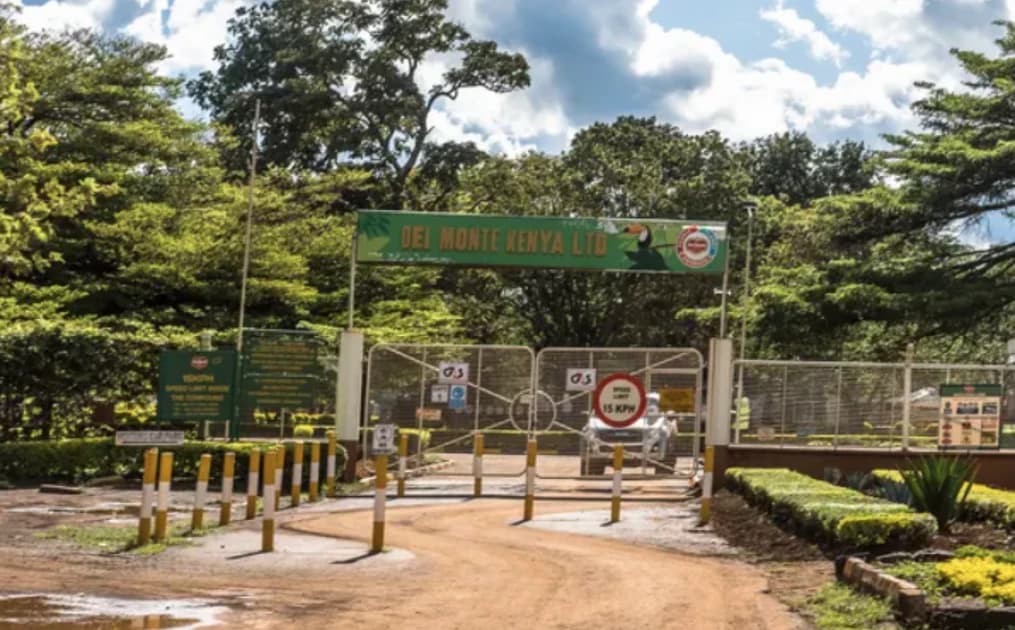 Two Del Monte workers drown in tragedy in Thika River