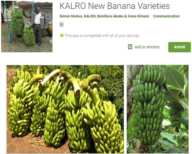 KALRO launches 14 more mobile applications for different crops production