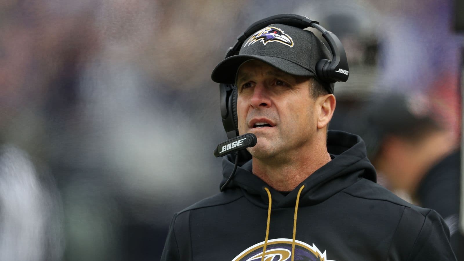 John Harbaugh Net Worth
