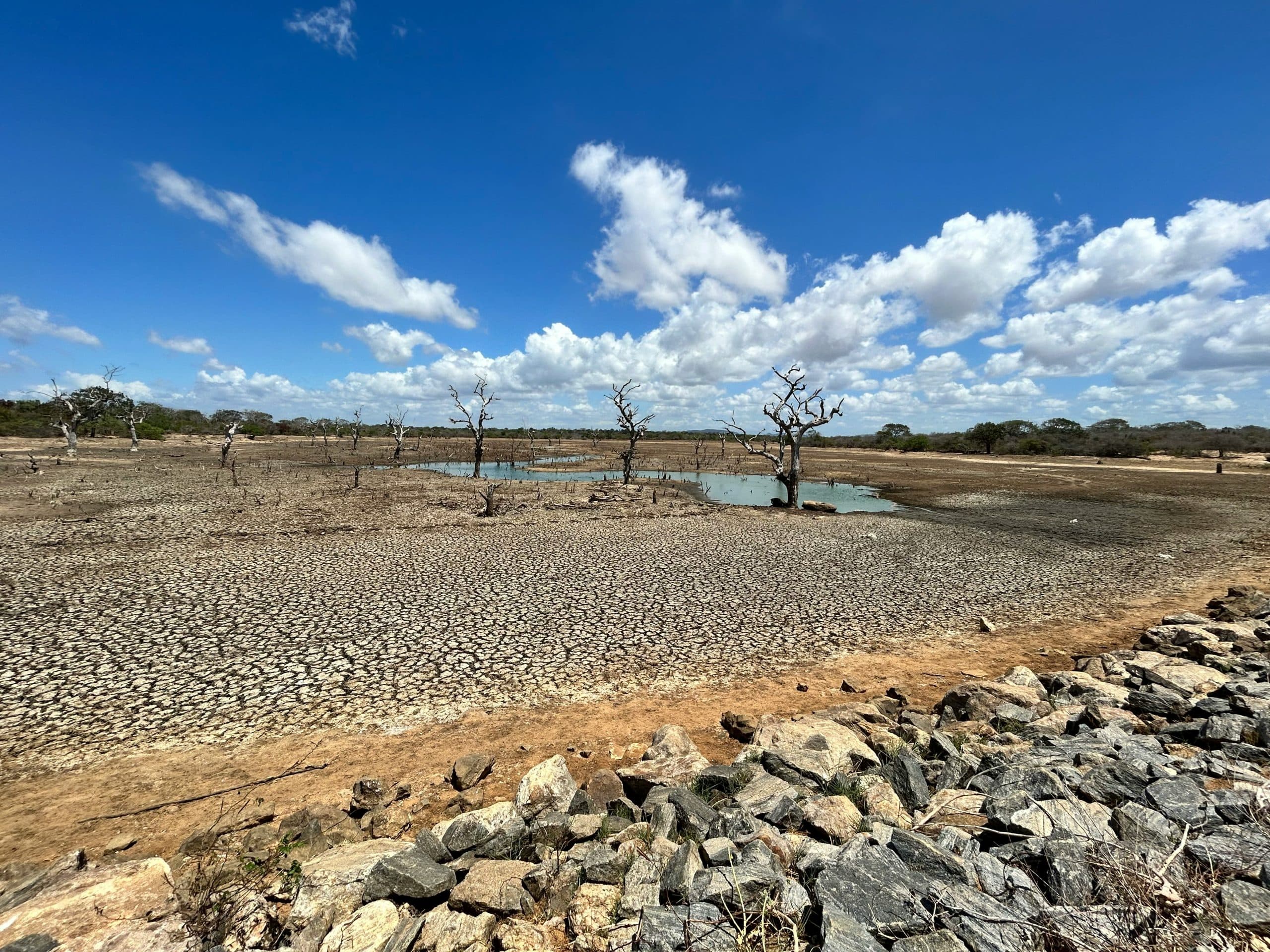 Kenya boosts drought resilience funding in Northern Kenya