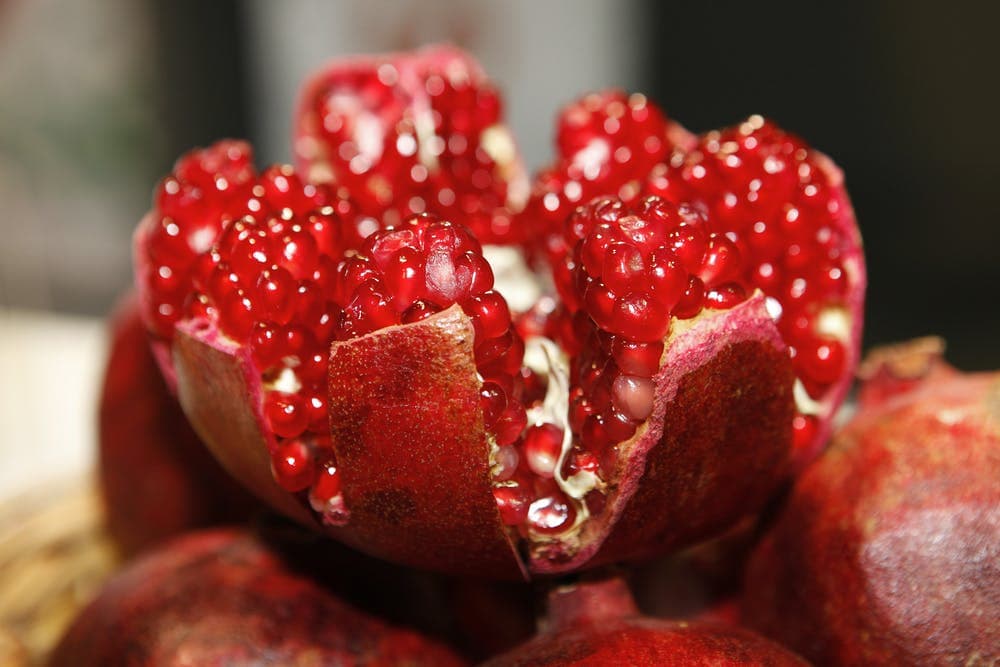 FarmBiz TV:Pomegranate bushes earn Sh7.5k per season.