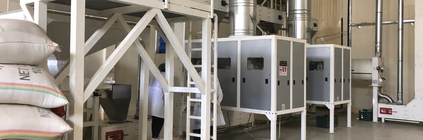 New sesame hulling plant launched in Ethiopia to provide farmers with ready market