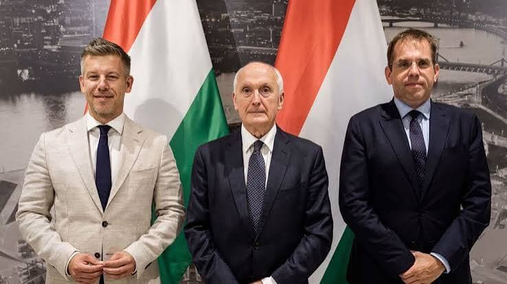 Former judge removed by Orbán elected Hungarian president