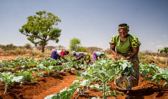 Colonial furrows turn semi-arid Yatta into irrigated oasis