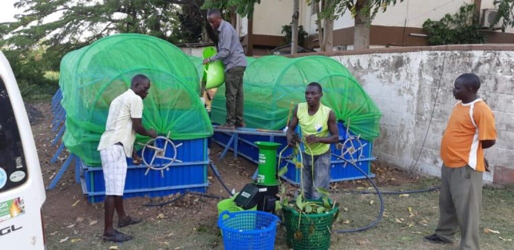 Water hyacinth fuelling a new economy in Dunga Beach