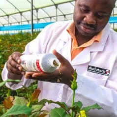 Dudutech launches natural biological solution to control fungal diseases