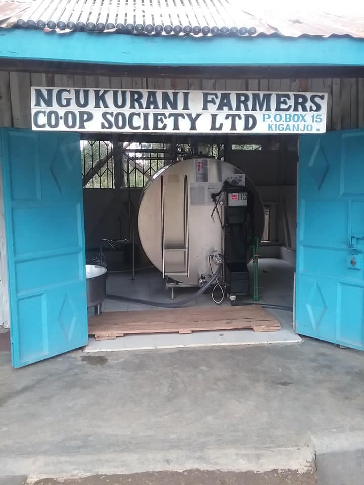 25 cooperatives behind Nyeri County milk boom