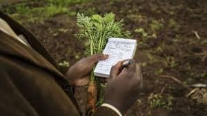 Agricultural extension juggles farmers’ enquiries in a demand-driven service