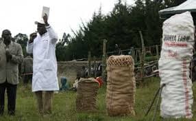 Packaging law becomes traders’ hot potato