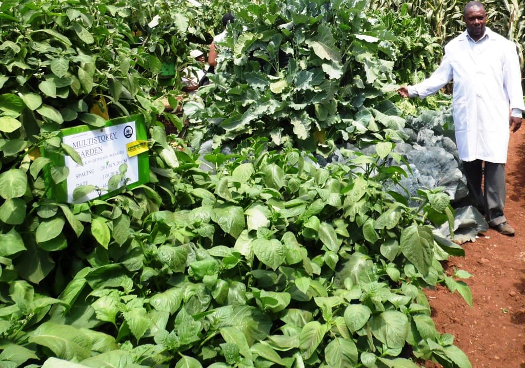 Calendar reversal helps farmer conquer the market