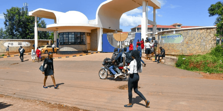 Has Kibabii University Banned Relationships with Freshers? Truth Behind The Viral Memo