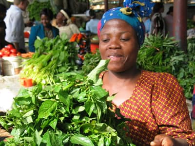 Women group earns Sh10,000 in three months from indigenous vegetables flour