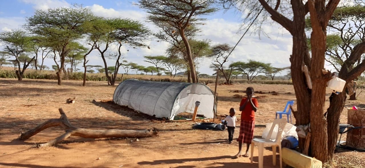 Biogas brings clean energy solution to pastoralist homestead