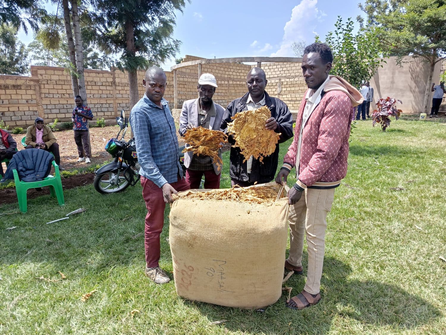 Migori Tobacco farmers demand payment for unpaid deliveries