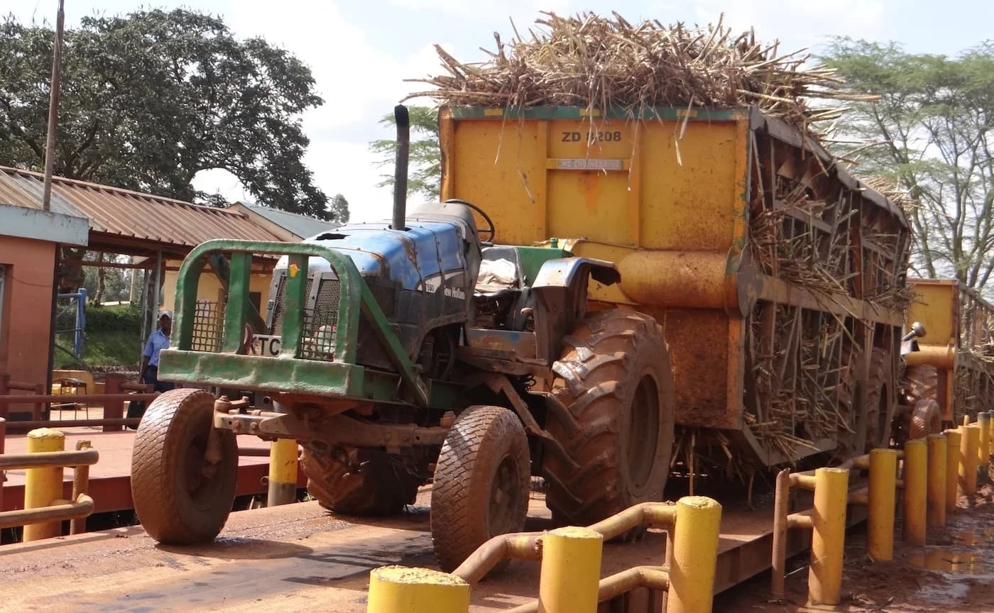 New Twist as High Court Rules on Nzoia Sugar Lease