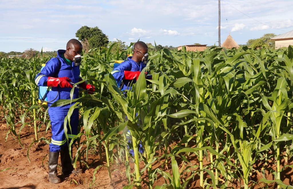 Nyamira farmers training on fall army worm control set for Dec 19th