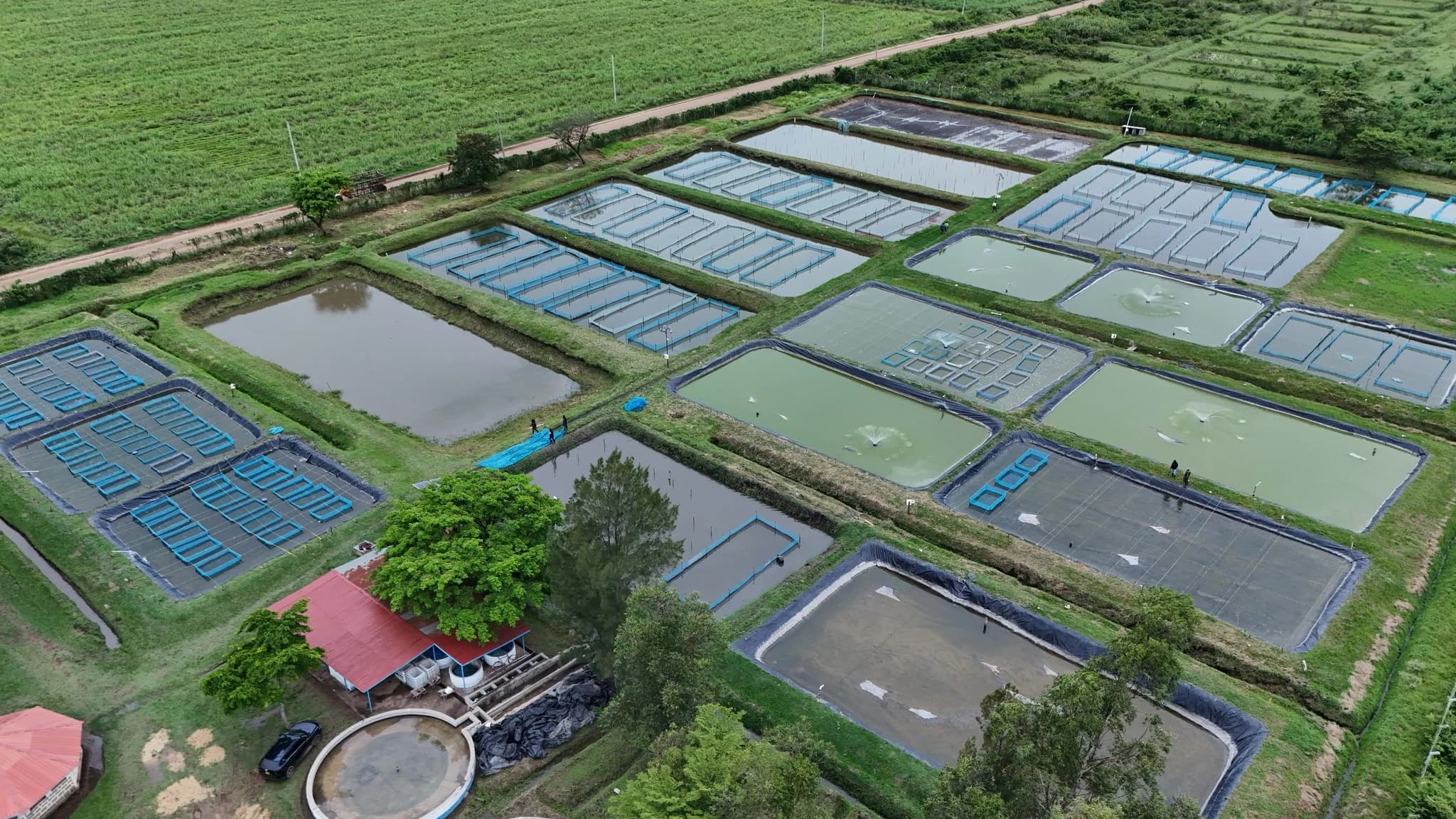 Kibos Aquaculture Centre Targets Full Production as Government Revives Fish Farming Sector