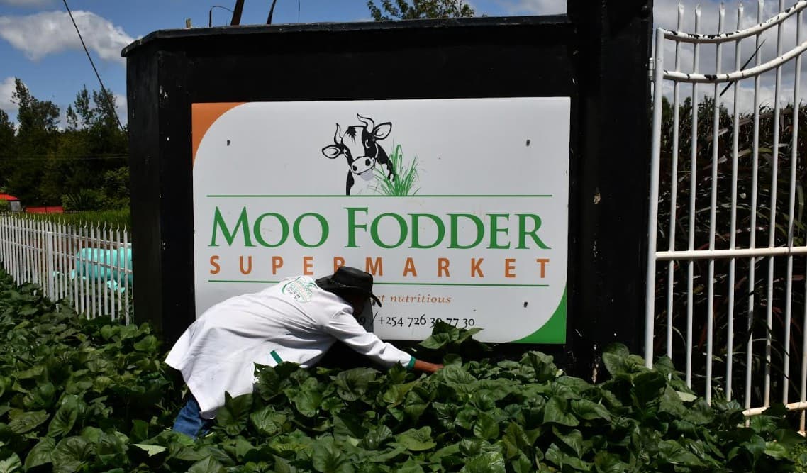 Former printer turns fodder farming into thriving multinational agricultural enterprise