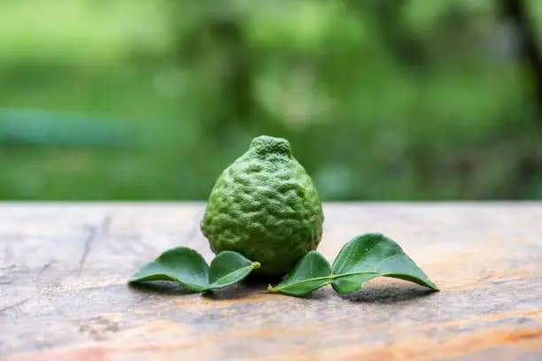 How to Use Bergamot Essence for Hair Growth