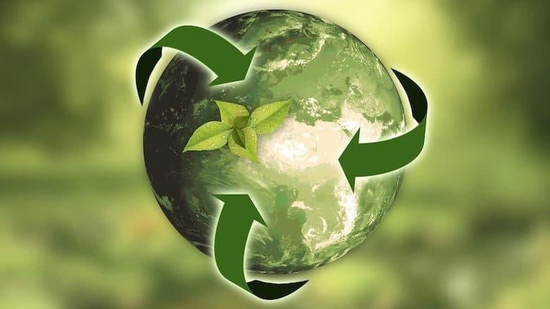 The Role of Index Funds in ESG Investing