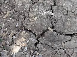 Cost effective ways of improving soil fertility & prevent soil borne pests & diseases