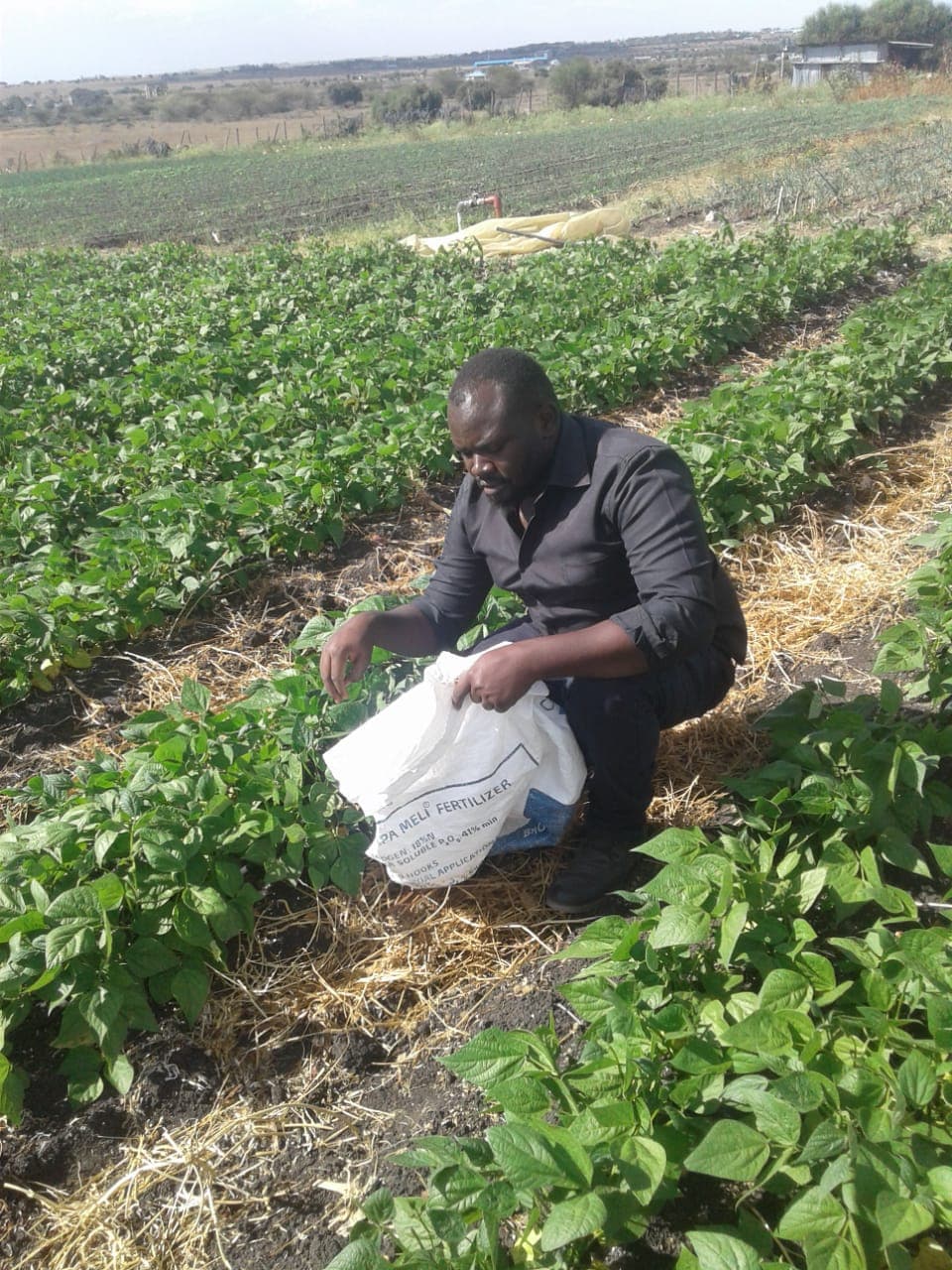 E-wallet roll out to enable farmers access government subsidies