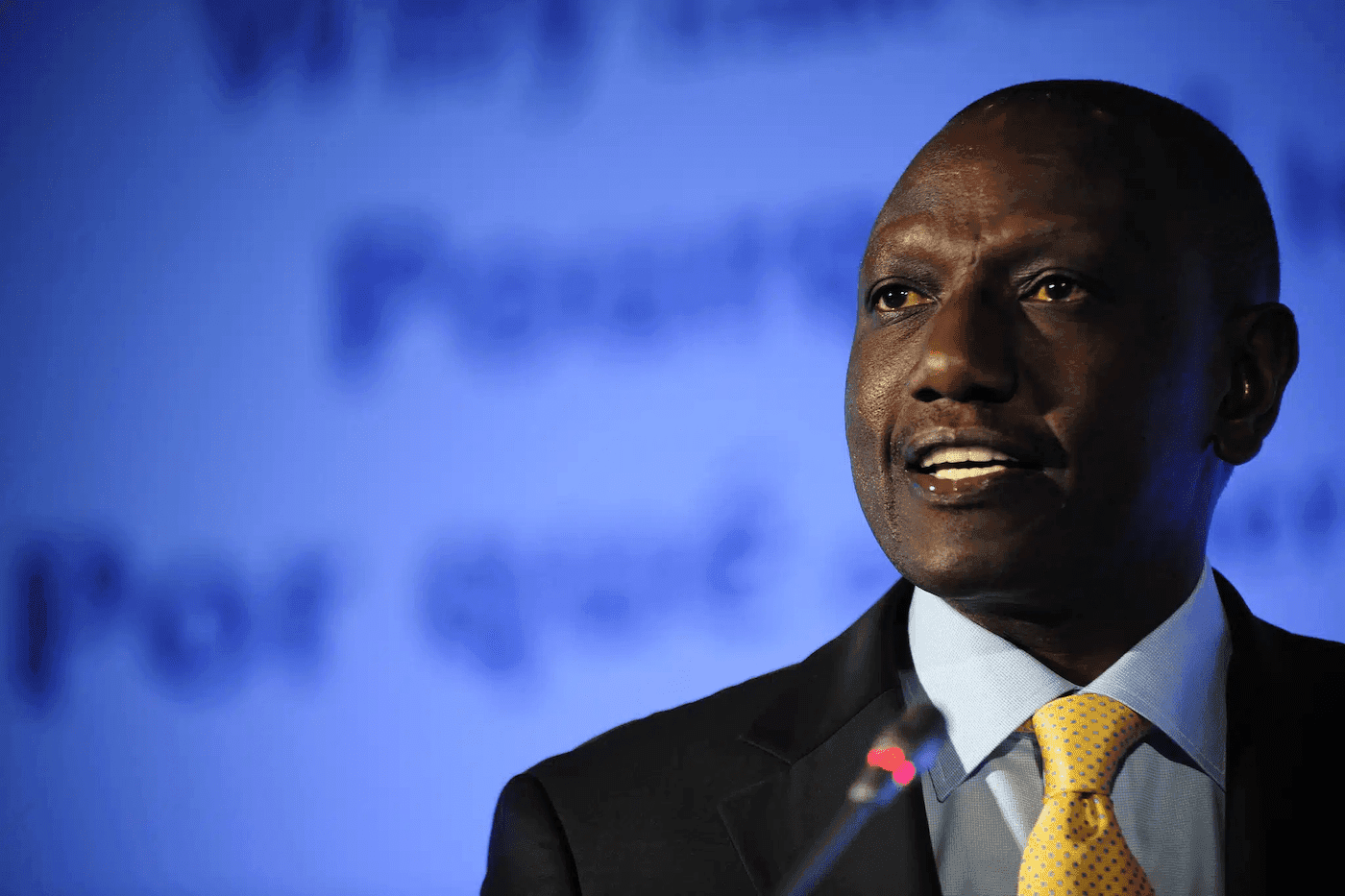 I’m Coming For You: 34 CEOs on President Ruto’s Watch List