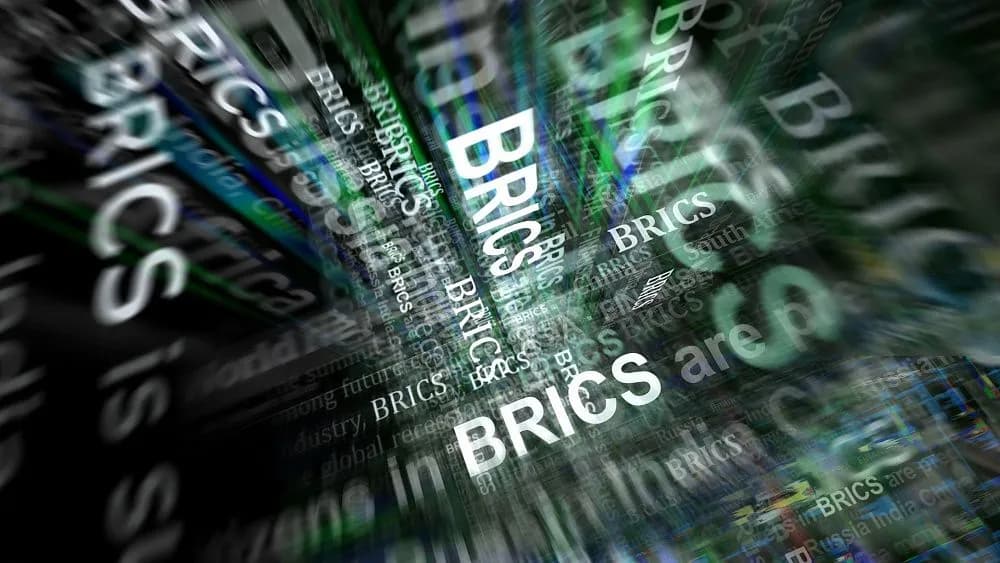 Expert: BRICS enters new stage after 20 years of cooperation