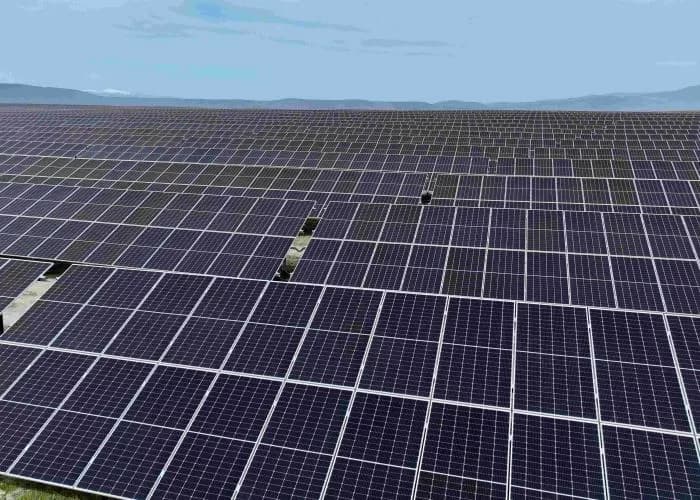 All to Know About Cider Solar Farm, New York’s Largest Solar Farm Project