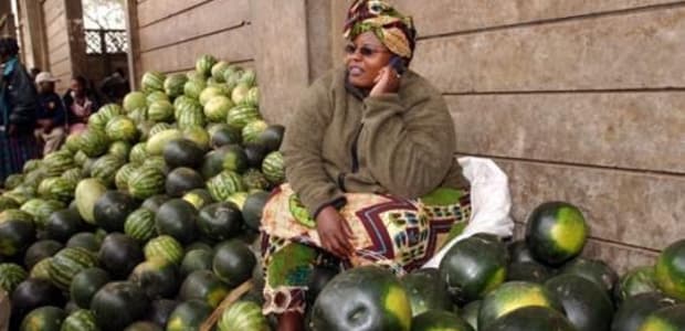 Telcom firm launches information system for farmers