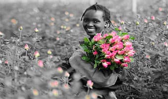 Kenya flower growers change tact to win Western hearts