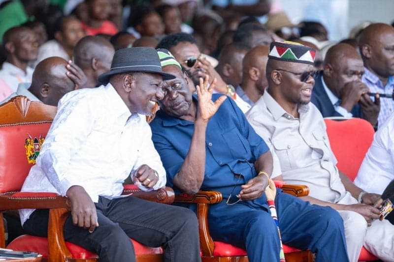 Ruto: UDA and ODM are partners, not rivals
