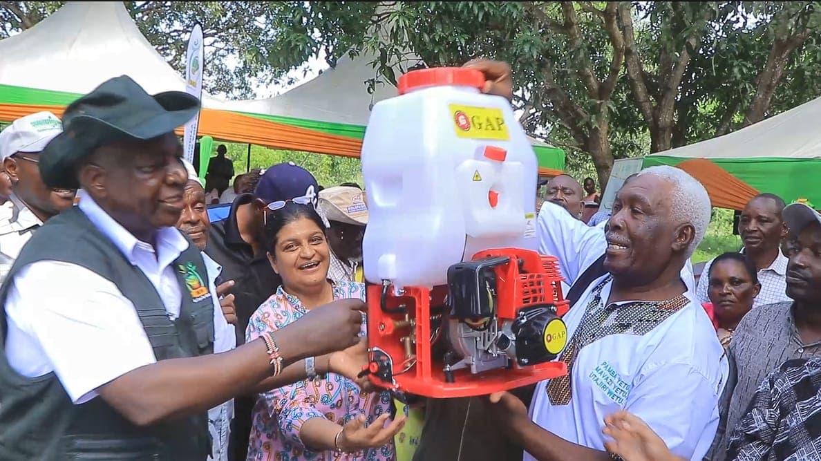 Govt steps up efforts to address cotton seeds shortage