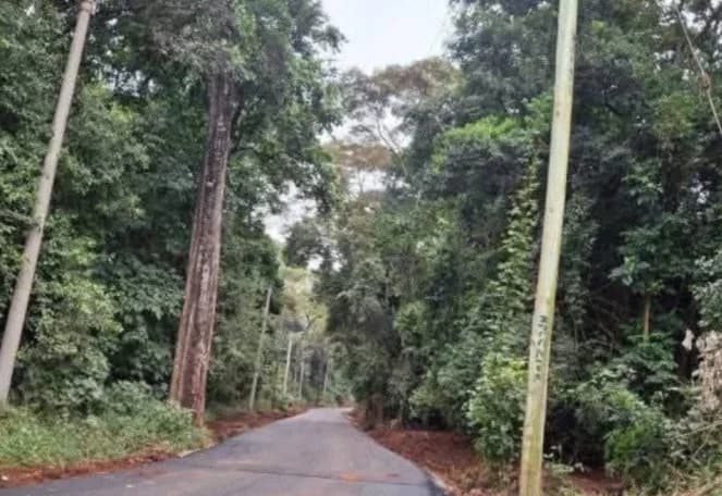 Karura Forest Takeover: Is This the End of Nairobi’s Green Haven?