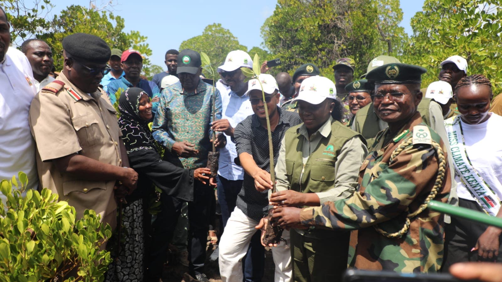 Lamu strengthens its position as Kenya’s Mangrove Conservation hub