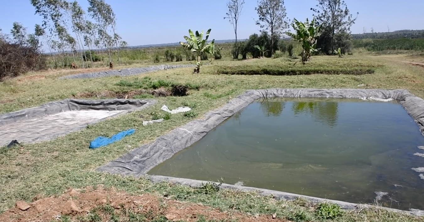 Bondo residents transform flooded farms into fishponds
