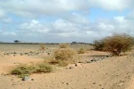Farmers reap fortunes turning rock to arable land