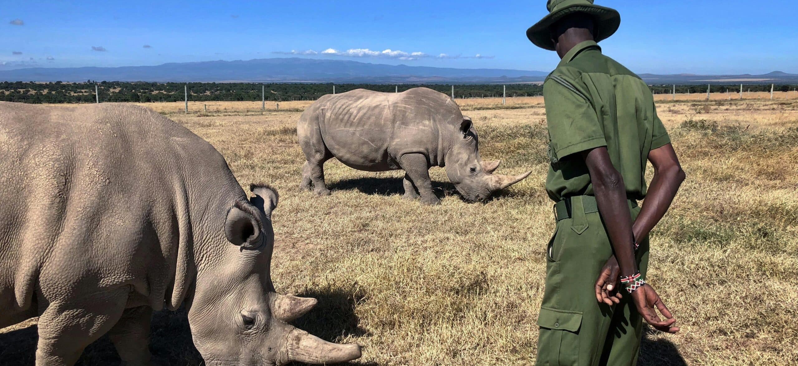 Kenya’s wildlife conservancies make old men rich, while making women and young people poorer