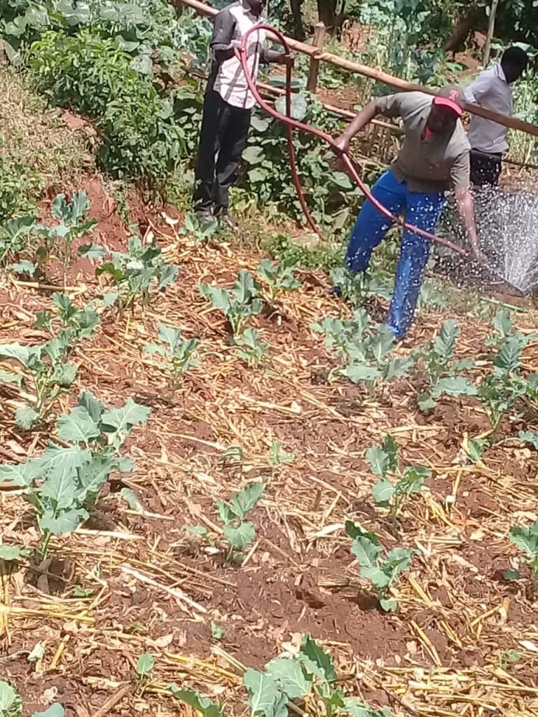 Government gives Nyamira farmers pumps to get river water in dry seasons