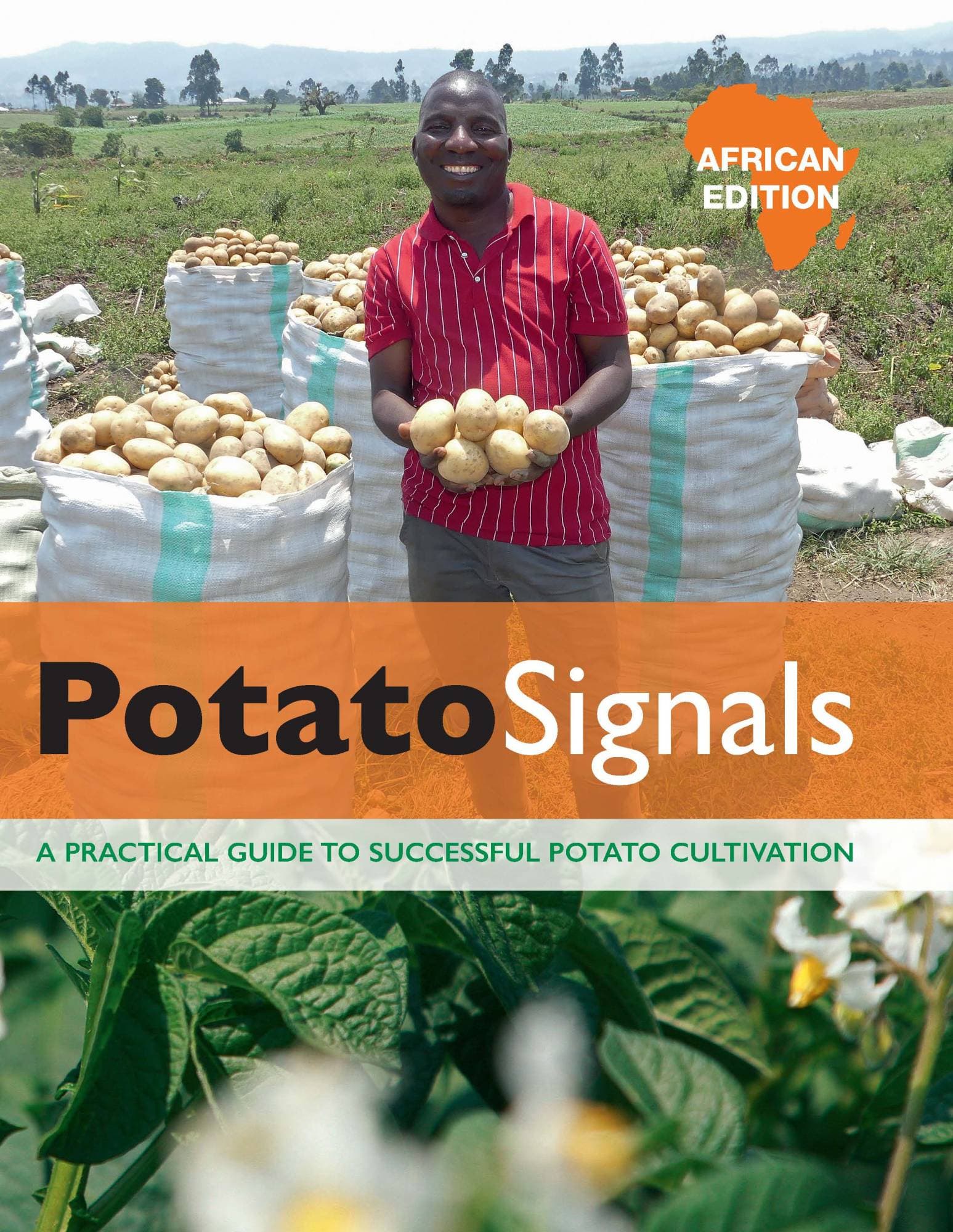 New potato farming handbook released by Dutch embassy & Agriculture Ministry