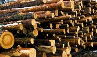 Pricey timber imports spawn shortage
