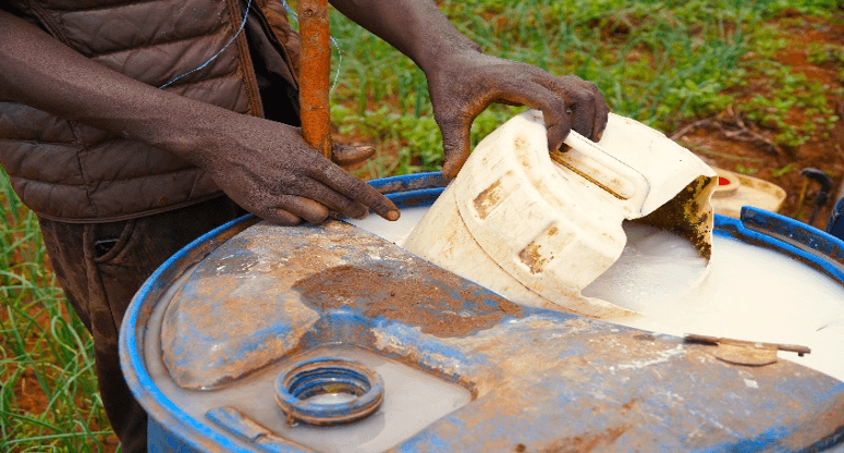 Kenya must move beyond toxic pesticides dependency to protect public health and food security