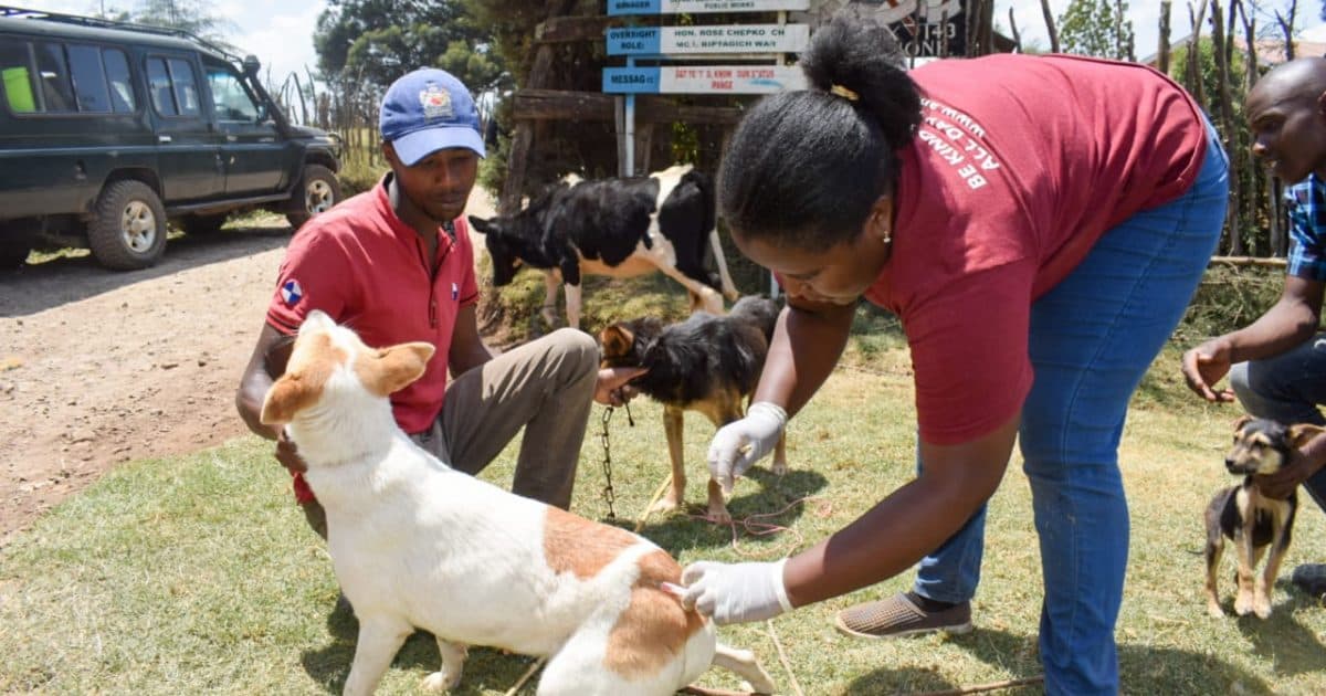 Nakuru rolls out mass vaccination of dogs to curb rabies