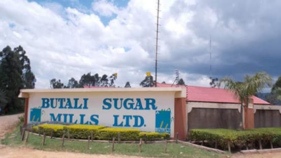 Kenya government plans to revive local sugar industries in bid to save ailing secto